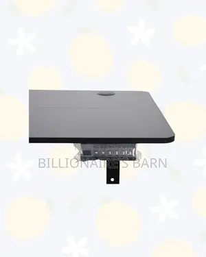 Single Split Electric Standing Desk Compact Sit Stand Workspace