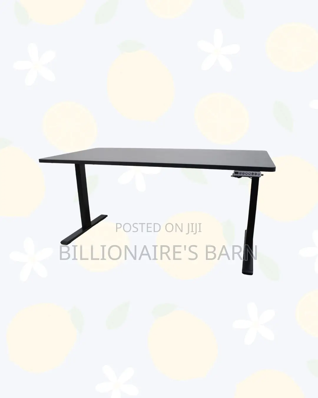 Dual Motor Electric Standing Desk Executive Ergonomic Workstation