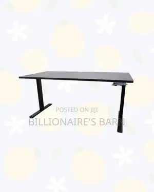 Dual Motor Electric Standing Desk Executive Ergonomic Workstation