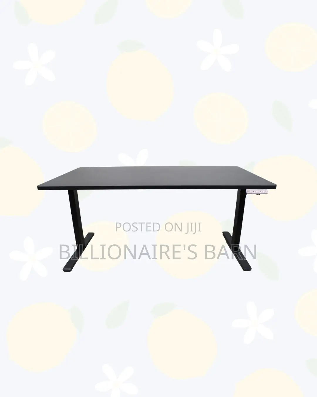 Dual Motor Electric Standing Desk Executive Ergonomic Workstation