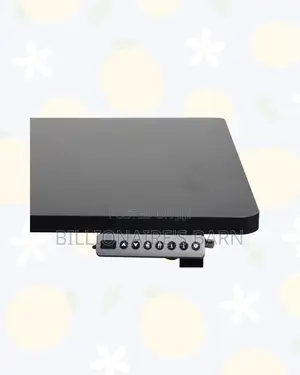 Dual Motor Electric Standing Desk Executive Ergonomic Workstation