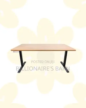 Heavy Duty Electric Standing Desk Heavy Duty Dual Monitor