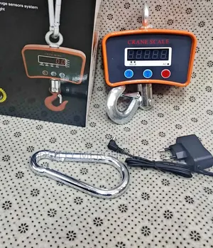 Spring Crane Weighing Scale 500kg
