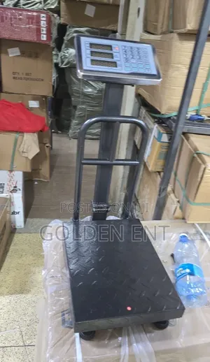 300kg Platform Scale Big Base/Scale