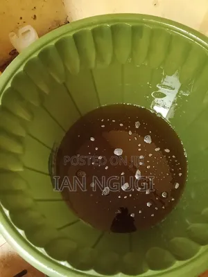 Cold Pressed Sunflower Oil