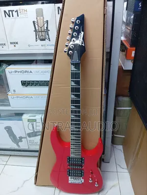 Professional Solo Guitar 24 Flets Ibanez