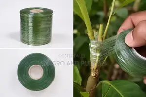 Green Grafting Tape 6cm × 300m