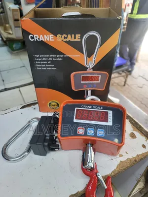 Crane 500kg/Hanging Scale