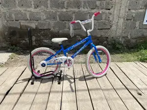 BMX Size 20