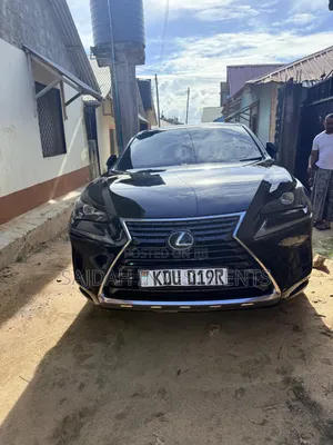 Lexus NX 300 FWD 2019 Black