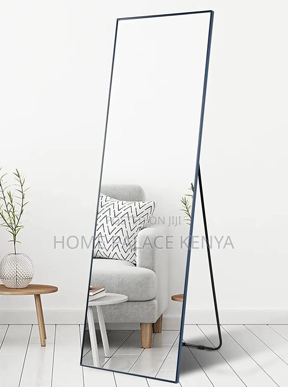 Dressing Mirror: Full Length Standing Mirror