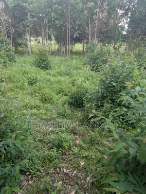 Plots For Sale