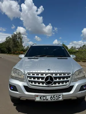 Mercedes-Benz M Class 2010 Silver