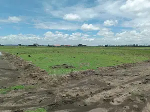 50 by 100 Plot in Juja Kalimoni Kiambu County