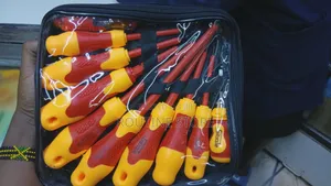 Screw Drive Set 10pcs Flats And Star