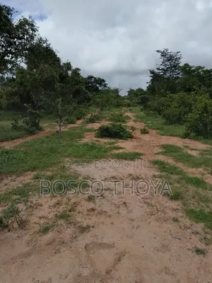 Large Lands