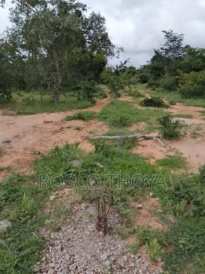 Large Lands