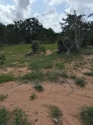 Large Lands