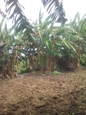 80 by 40 Plot Located in Well Developed Area Jomvu