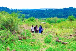 Plots for Sale