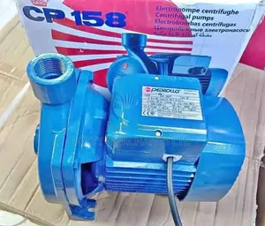 Electric Pedrollo Water Pump