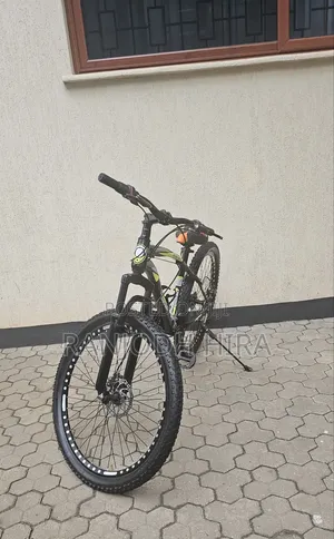 Mountain Bicycle