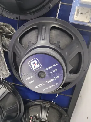 Bm 15 Inch Speaker