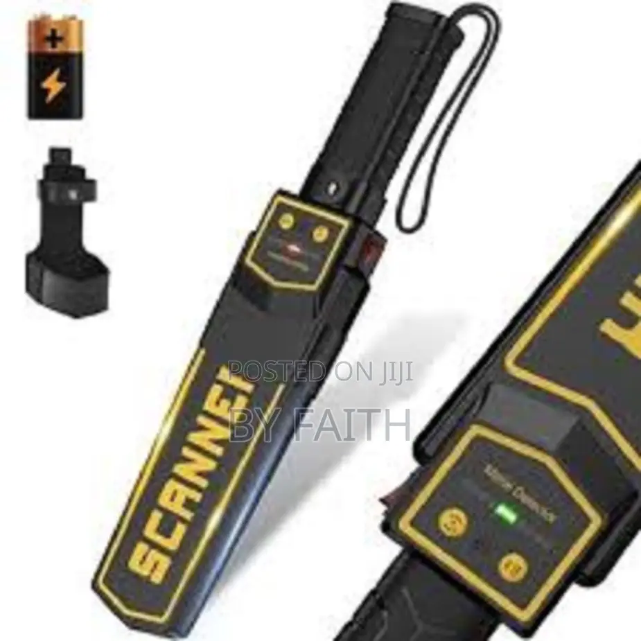 Metal Detection For Professionals