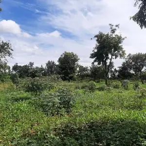 Land for Property Use
