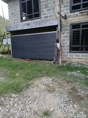 Electric Store Entry Shutter