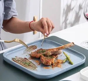 Square Ceramic Dish Porcelain Dessert Plate Steak Plates