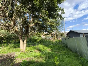 Commercial 8th Acre Plot for Sale in Ngong, Ebulbul Touching Tarmac