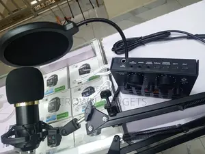 Bm-800 Microphone Set With Arm Stand V8 Audio Interface
