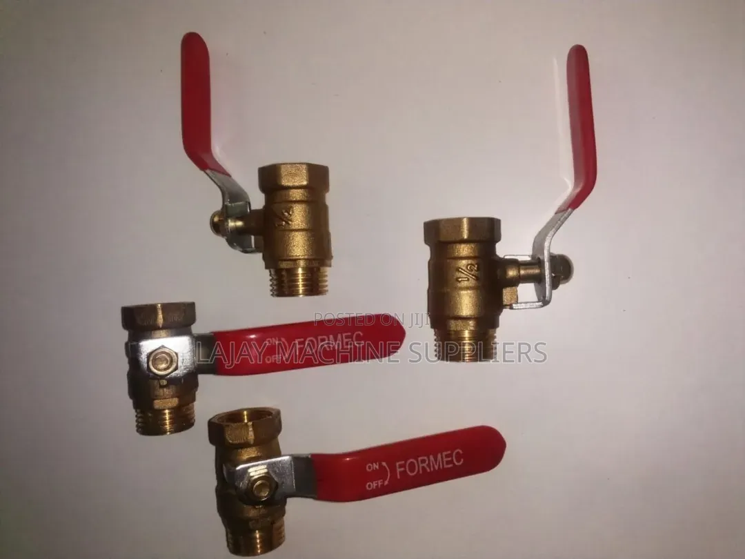 1 Inch Gate Valve