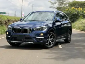 BMW X1 2018 Blue