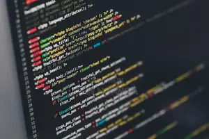 Professional Website Development Personal/for Business