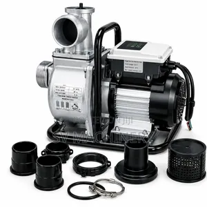 Heavy Duty Shiyuan 3" Dc Surface Pump With Controller