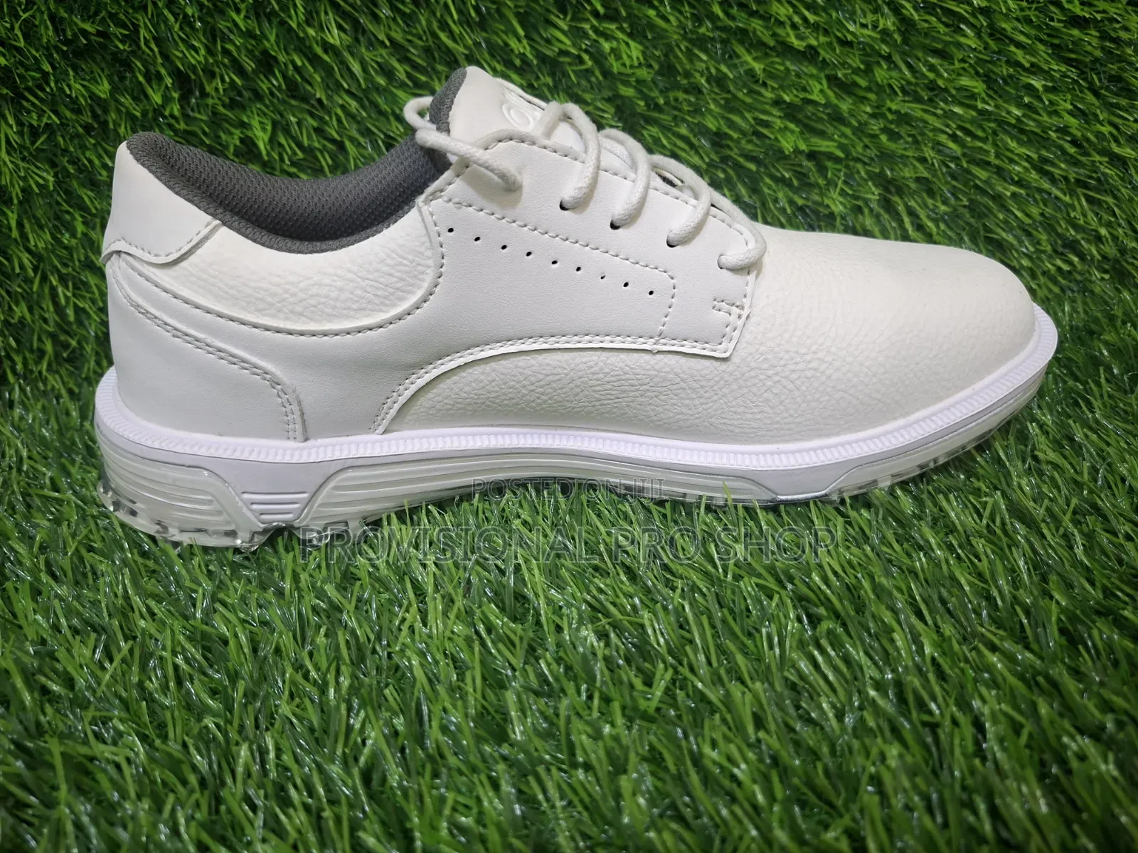 Aleck Golf Shoes