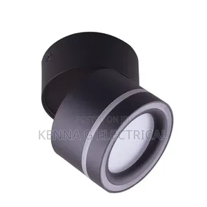 Adjustable Led Spotlight