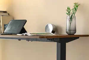 Office Desk; 1.6 Meters Adjustable Desk With Control Panel