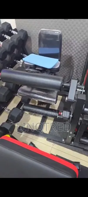 Seated Leg Extension Leg Curl Machine