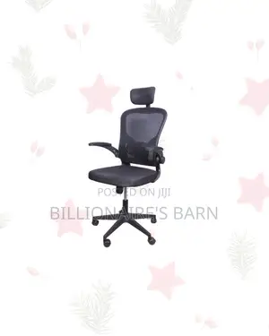 Ergonomic Chair Flip Up Arms Adjustable Headrest Nairobi Special