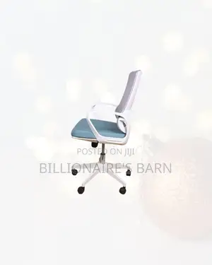 Stylish Ergonomic Mesh Office Chair Mid Back Lumbar Support at Best