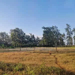 Prime 1 Acre For Sale In Magogoni