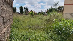Prime Land