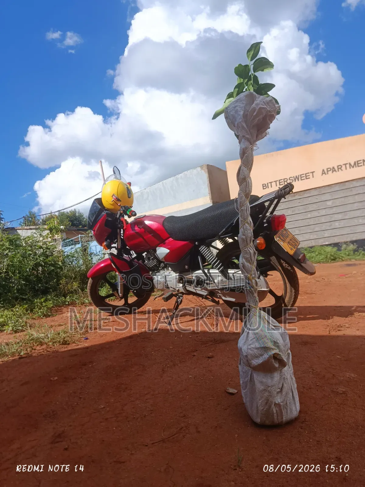 TVS HLX 125 2025 Red