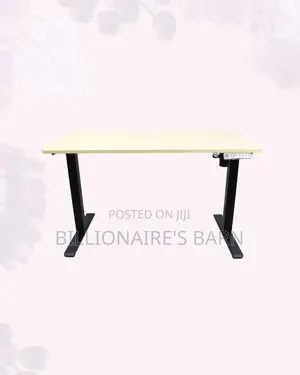 Stylish Single Motor Electric Standing Desk One Piece Sit Stand