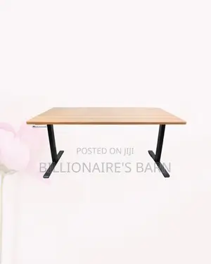 Modern Dual Motor Electric Standing Desk Dual Monitor Workspace