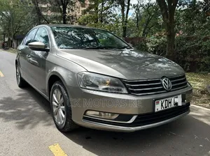Volkswagen Passat 2014 Gray