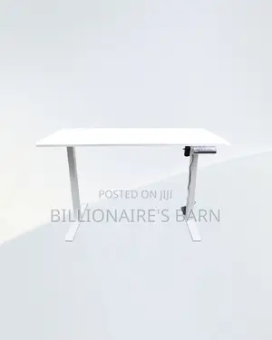 Professional Single Split Full Electric Desk Compact Sit Stand